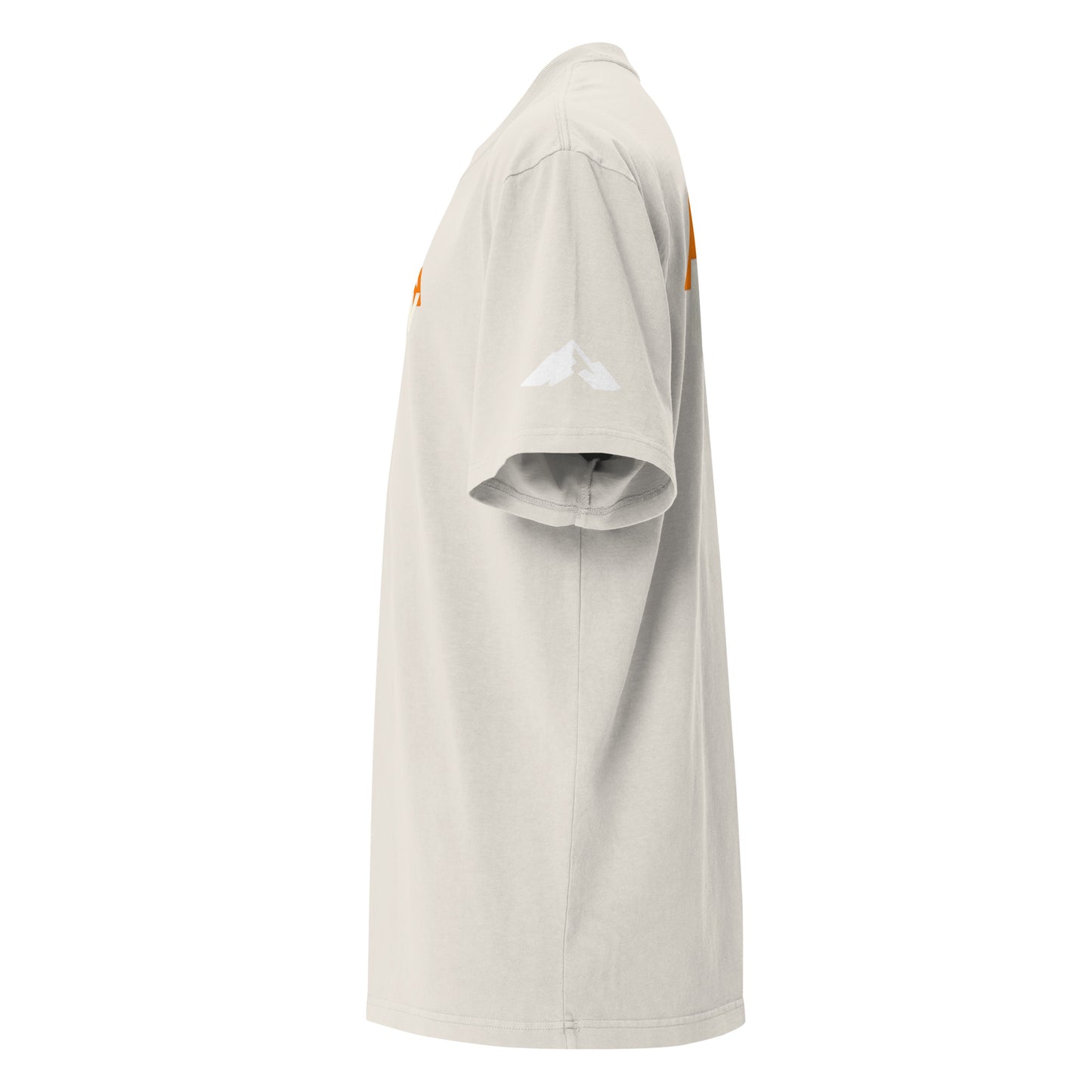 NRN Mountain Oversized faded t-shirt