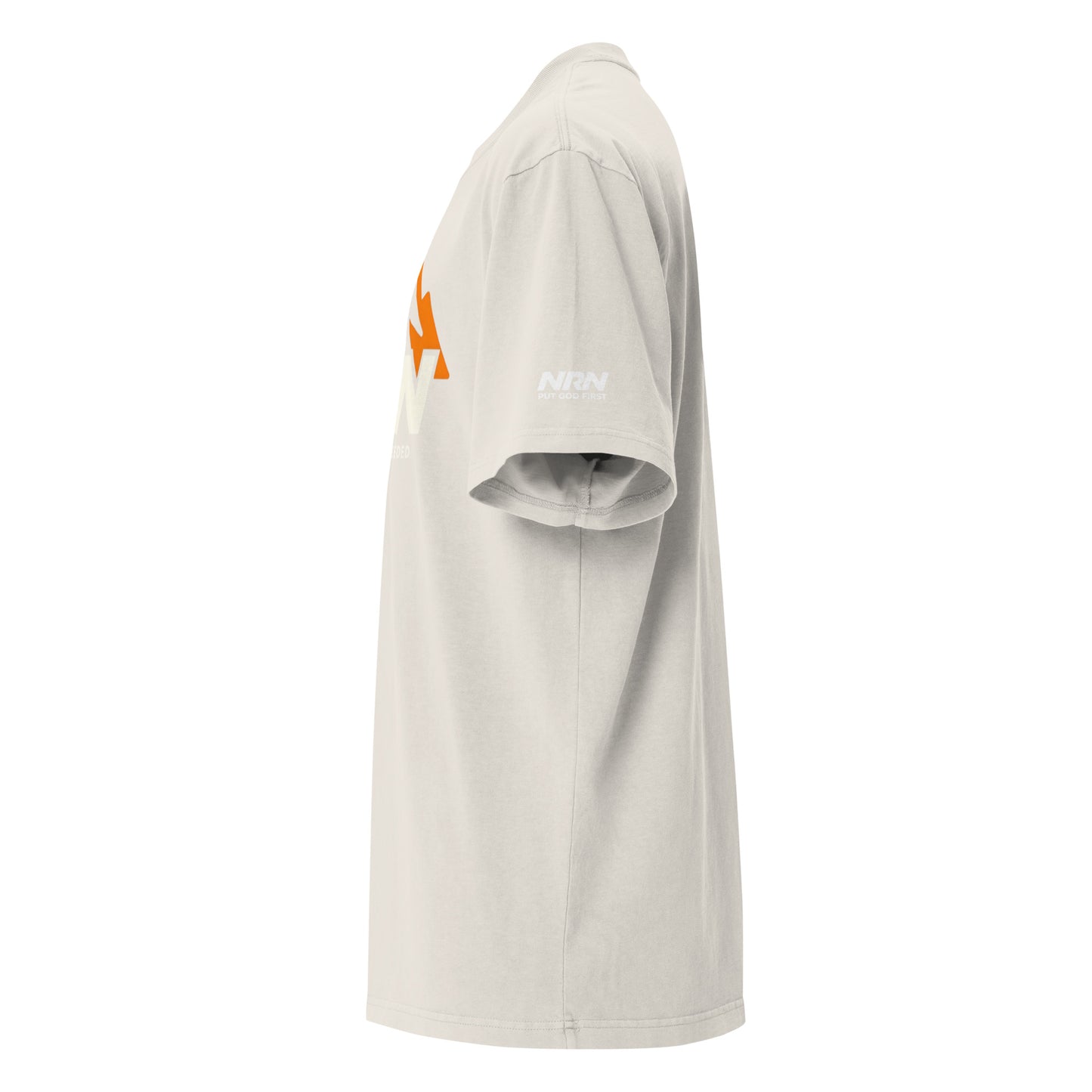 NRN Mountain Oversized faded t-shirt