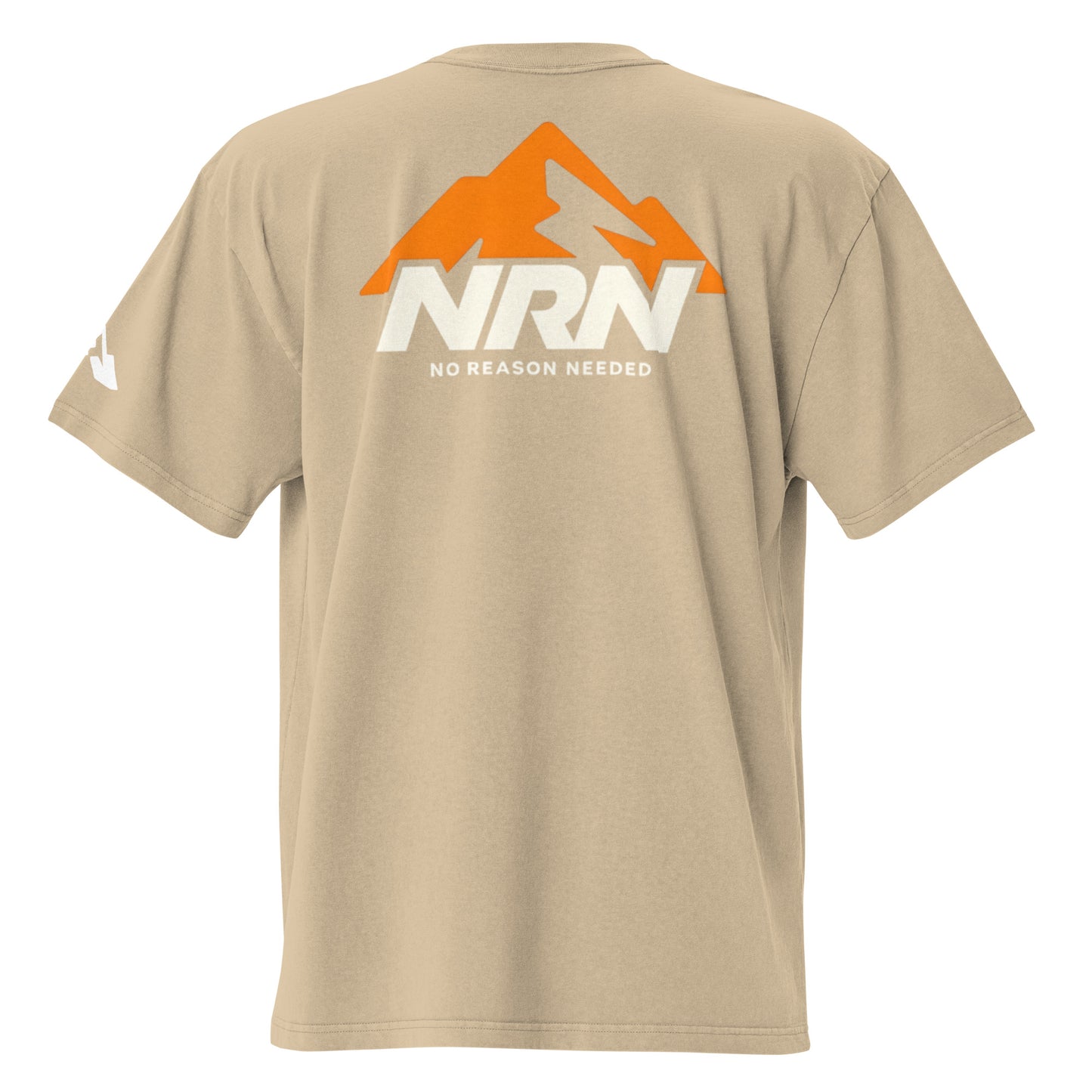 NRN Mountain Oversized faded t-shirt